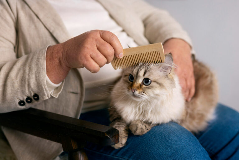 What are Skin Masses on Cats