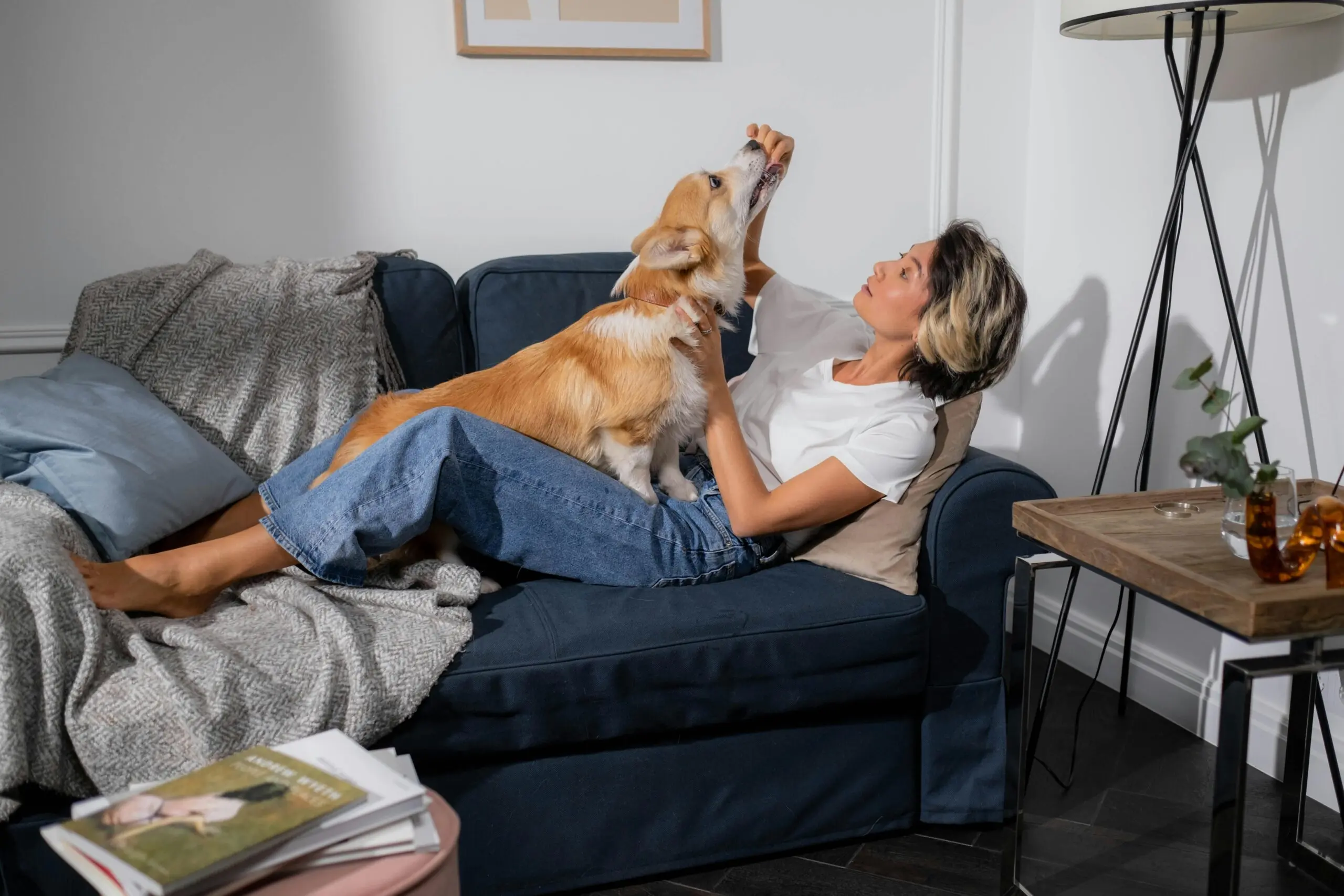 Nurturing Your Young Adult Dog: Essential Care Tips and Advice 1 What is Considered an Adult Dog 1 scaled