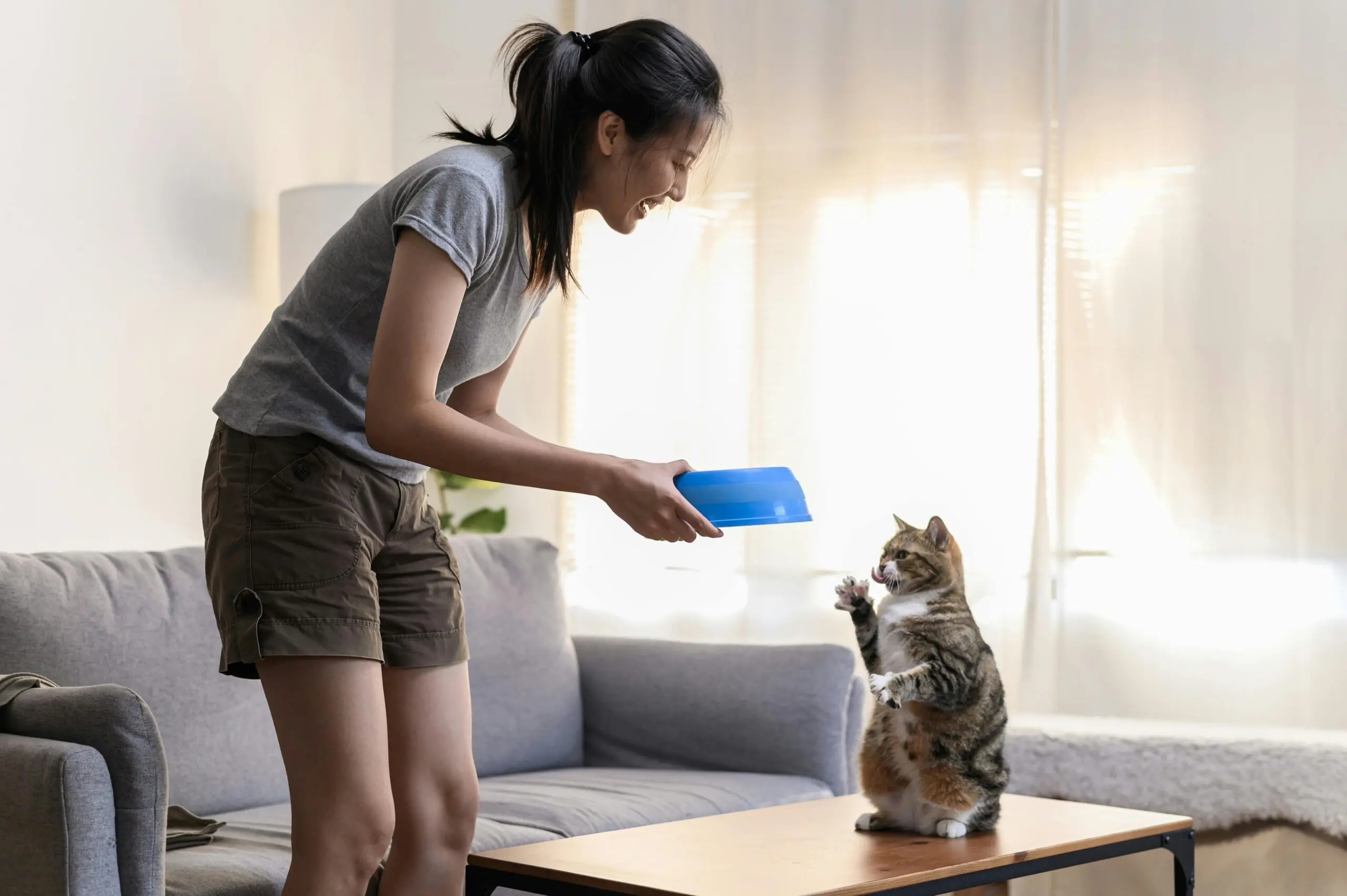 cat food scaled