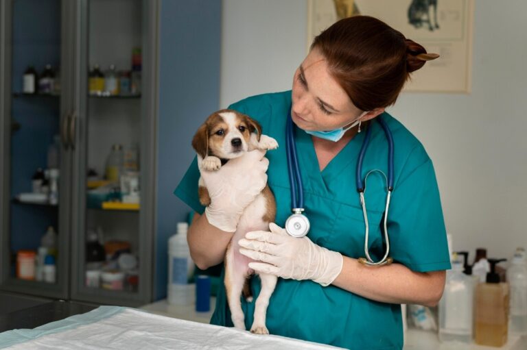 in Dogs