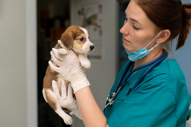 Recognizing Early Signs of Dog Health Issues