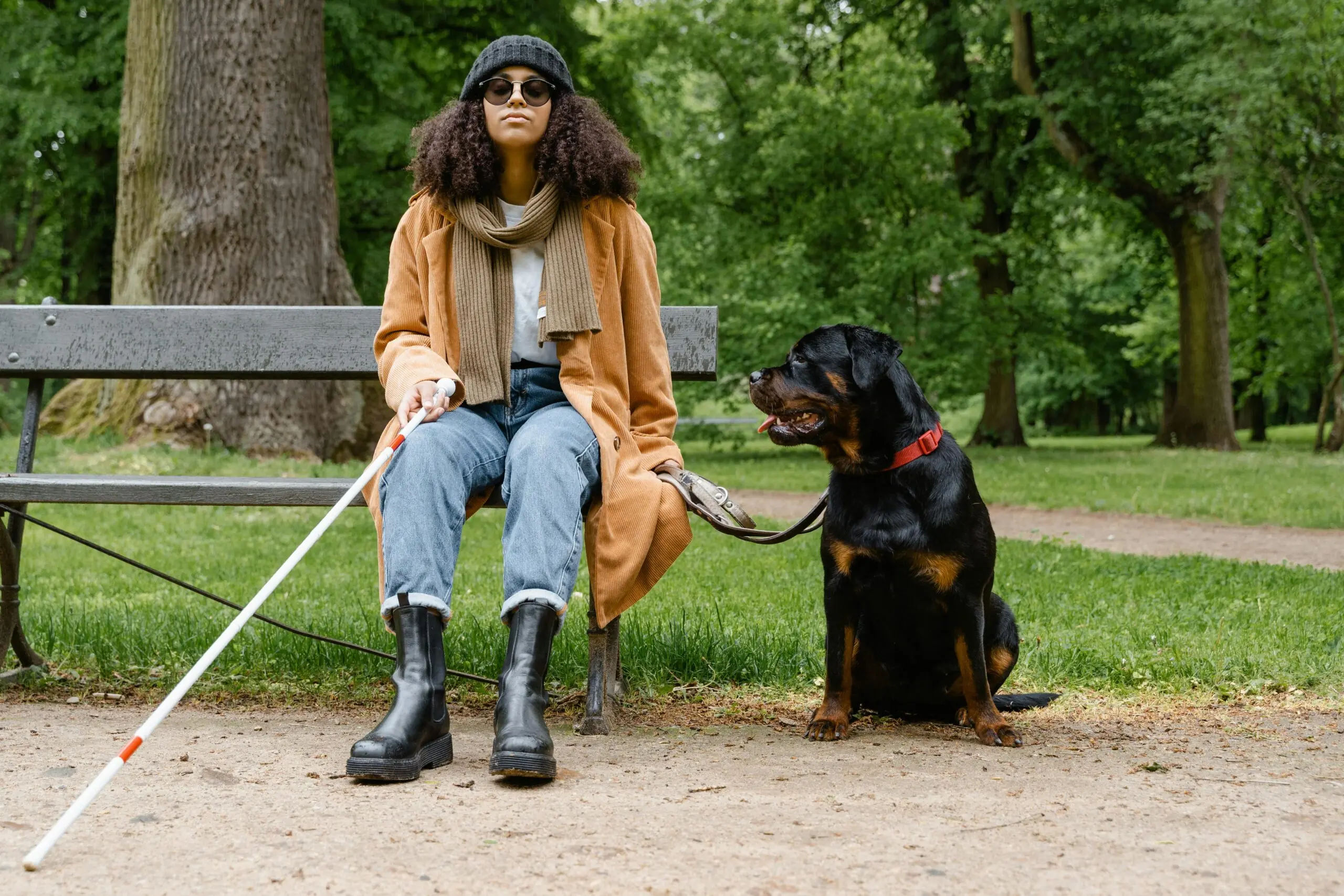 Service Dogs are Trained to Perform Specific Tasks That Support Their Owner scaled