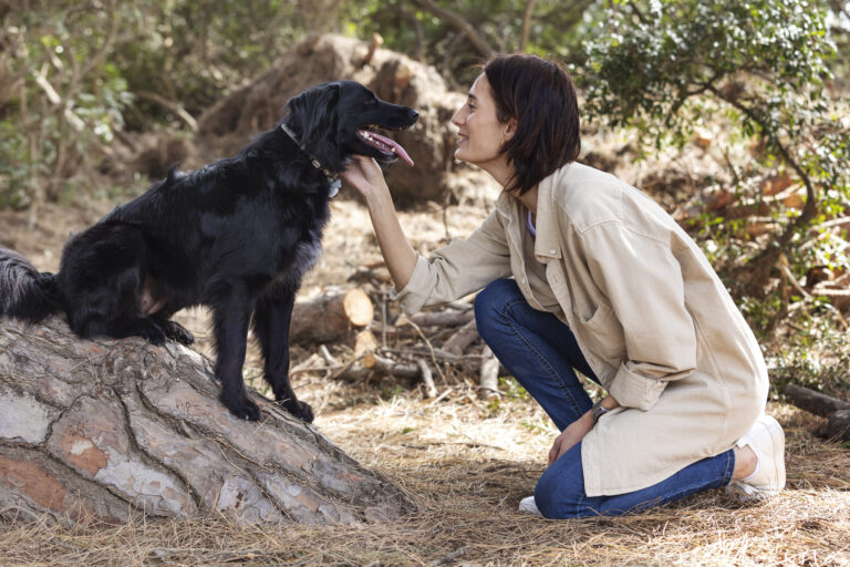 dog trainer interacting with their pet