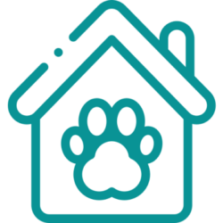 Pet boarding services at Beyond Pets Animal Hospital