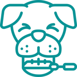 Pet dental and oral care services at Beyond Pets Animal Hospital