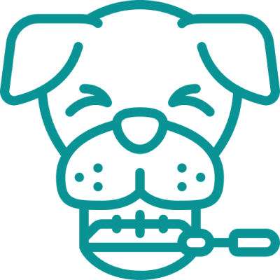 Pet dental and oral care services at Beyond Pets Animal Hospital