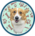 pet grooming marietta ga