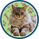 cat grooming marietta ga