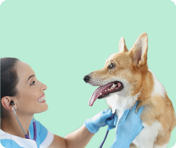 vet in Marietta, GA