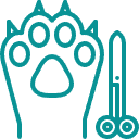 Surgical-Procedures-icon-3