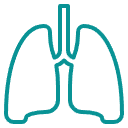 The-lungs-icon-6