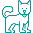 dog-icon-1