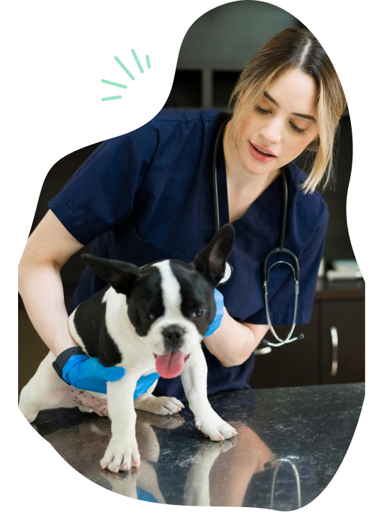 pet vaccinations marietta ga