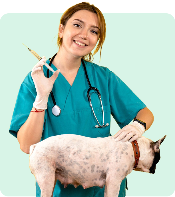 pet vaccinations marietta ga