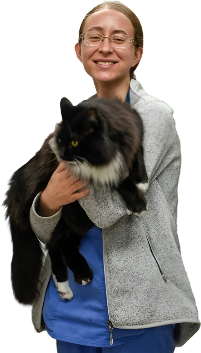 affordable pet grooming service in Marietta, GA