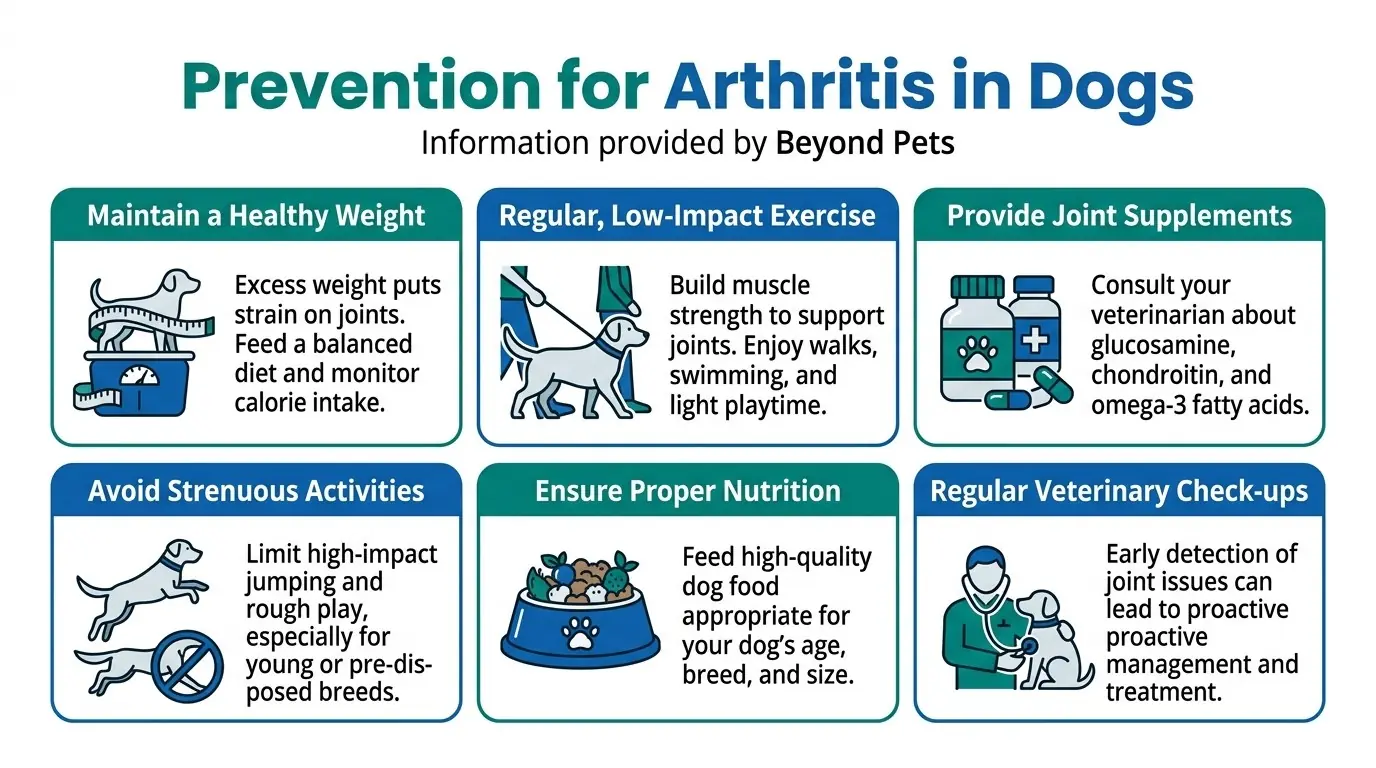Prevention for Arthritis in Dogs in Canine Arthritis - Diagnosis, Treatment, and Prevention