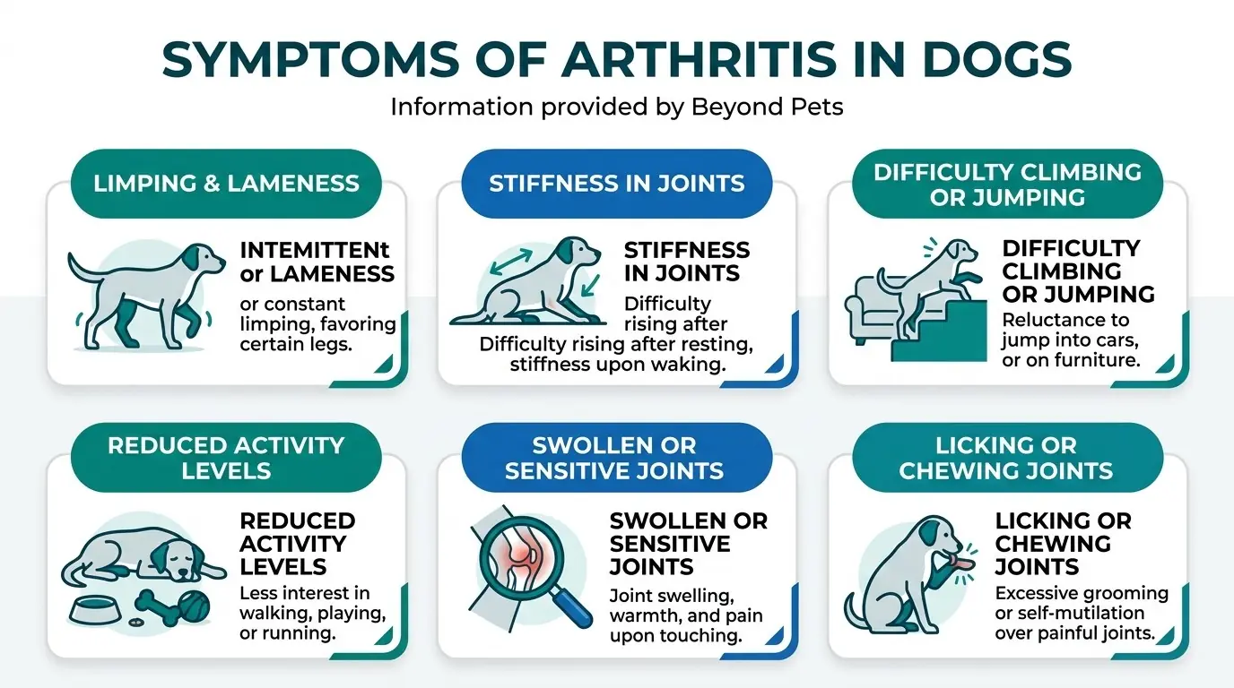 Symptoms of Arthritis in Dogs in Canine Arthritis - Diagnosis, Treatment, and Prevention