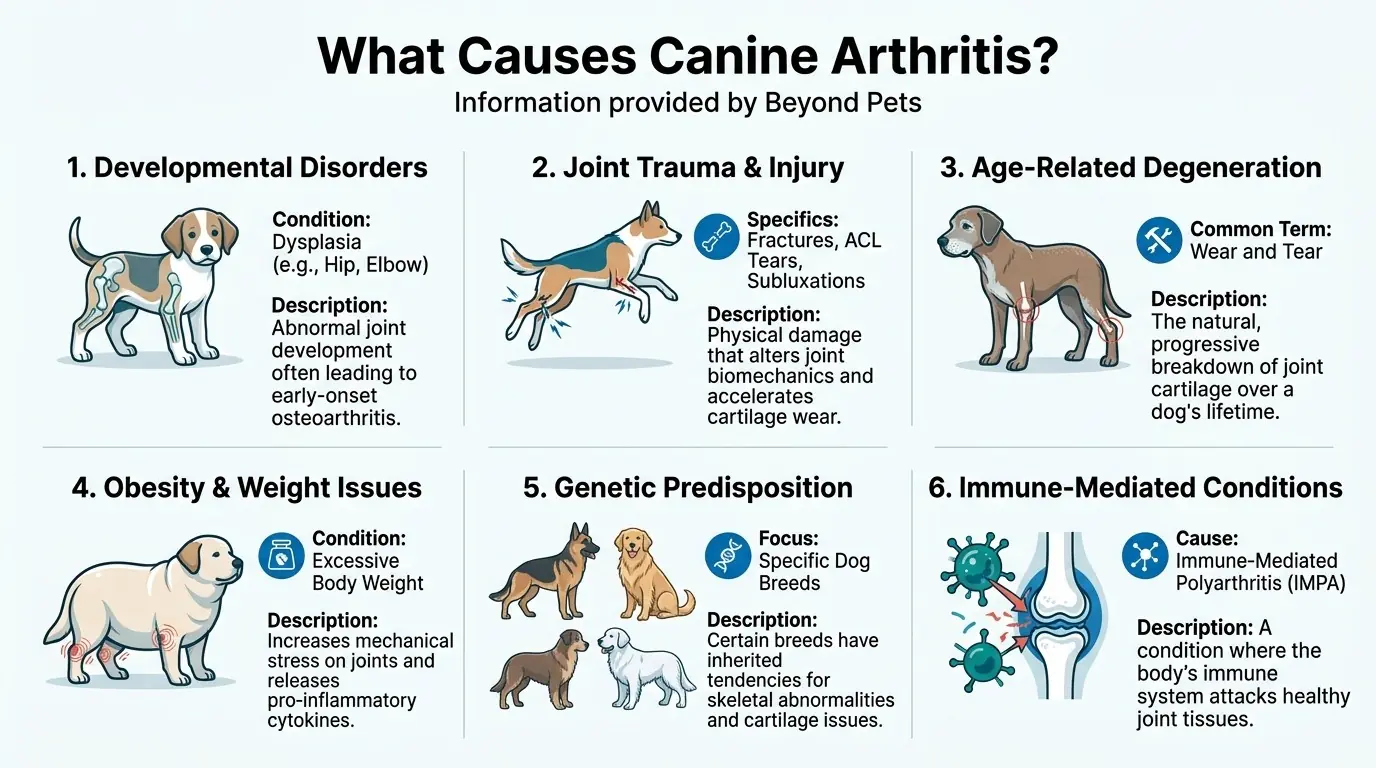 What Causes Canine Arthritis? in Canine Arthritis - Diagnosis, Treatment, and Prevention