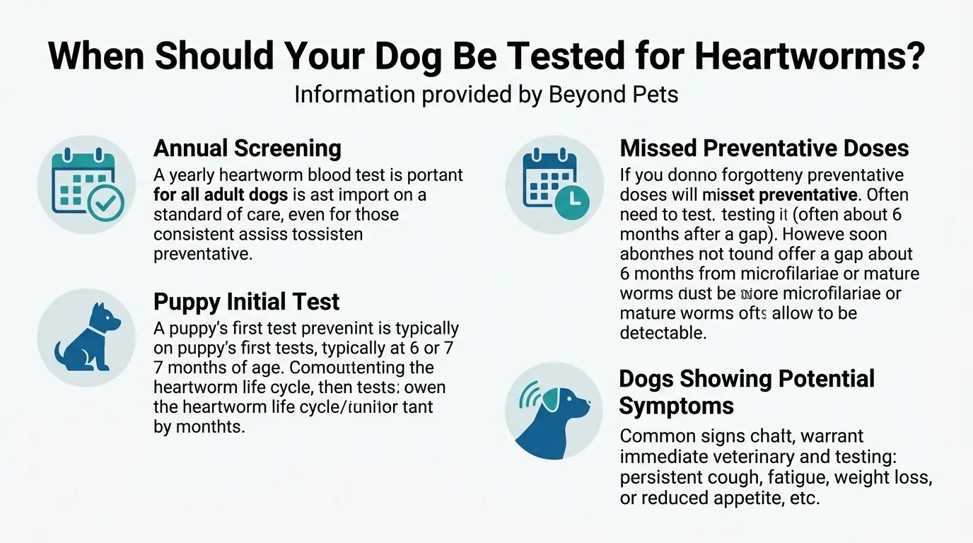 When Should Your Dog Be Tested for Heartworms? in What is Heartworm Disease in Dogs?
