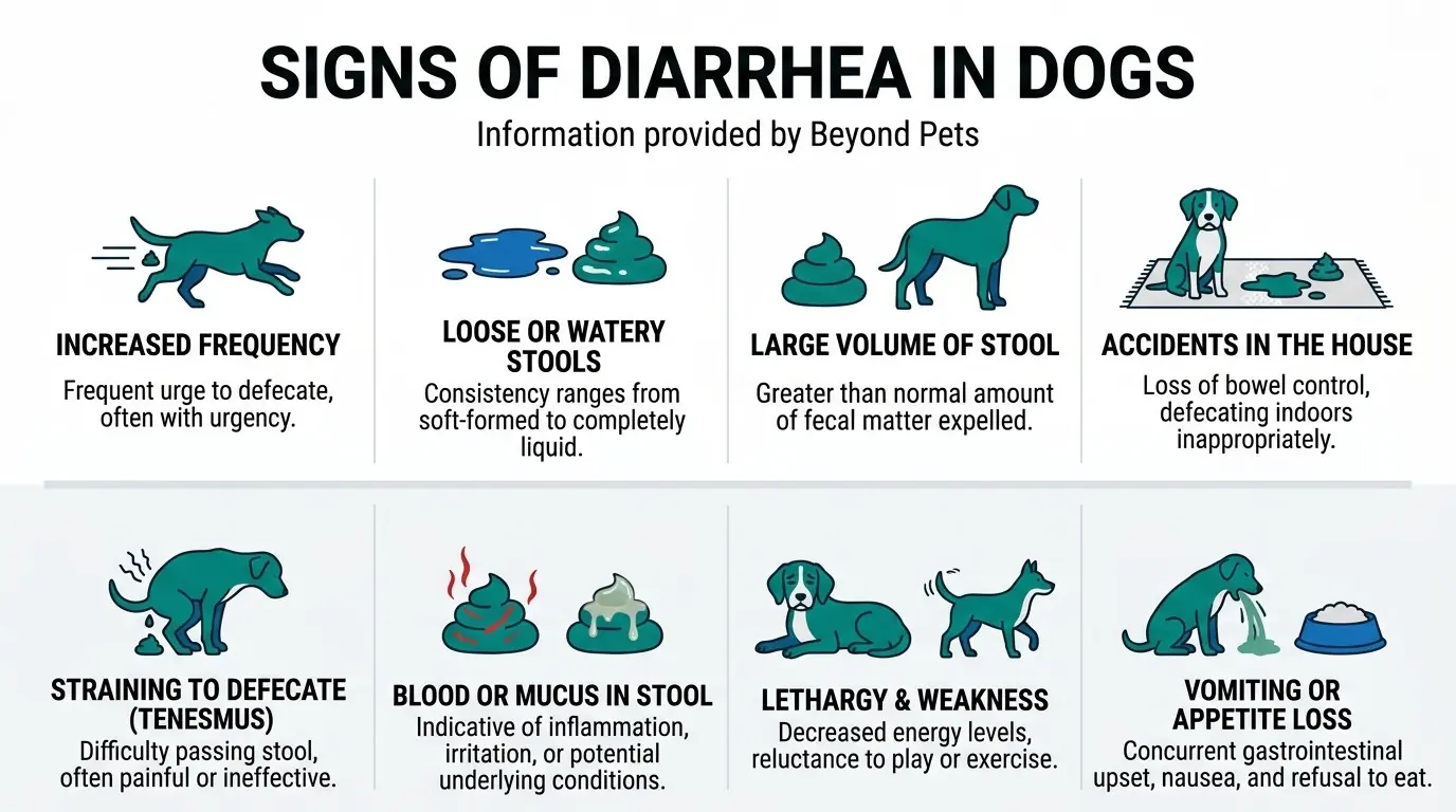 Signs of Diarrhea in Dogs in What is Diarrhea in Dogs?