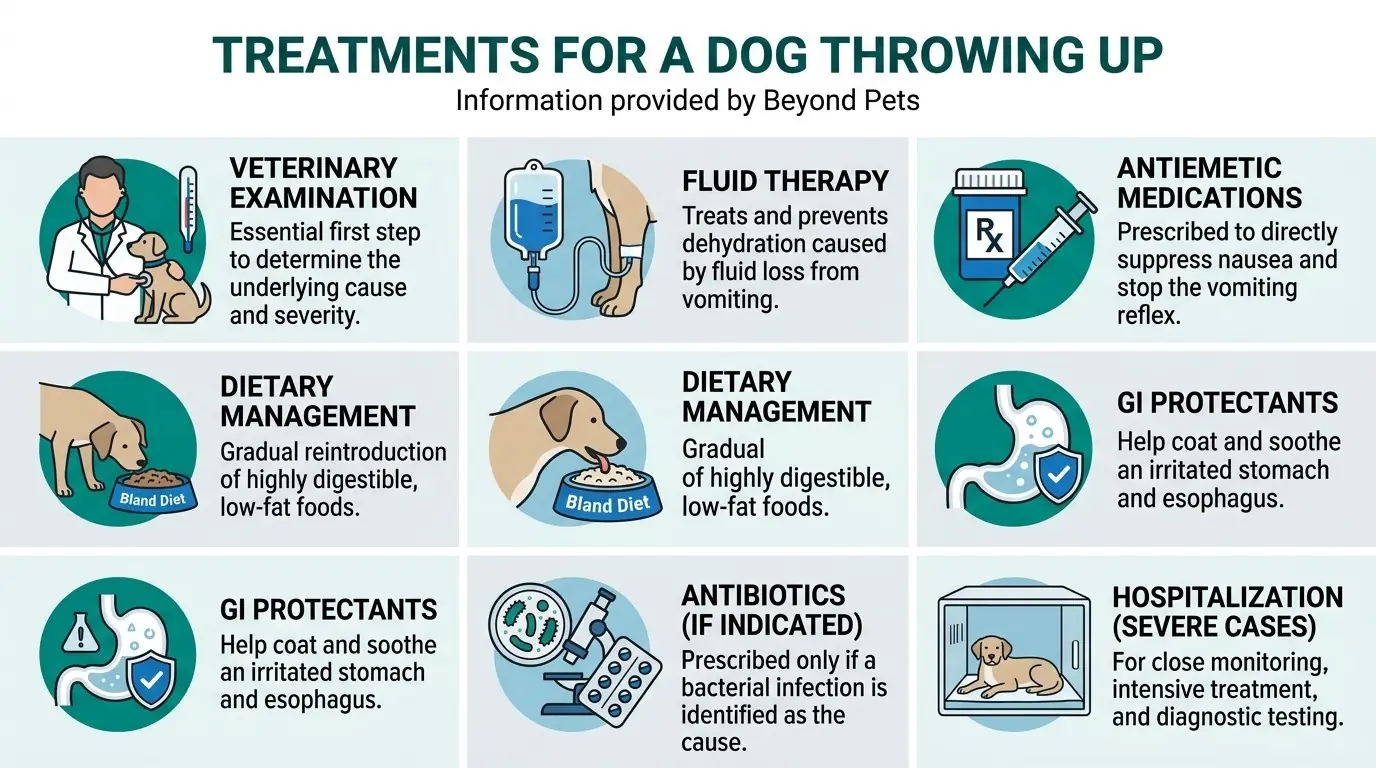 Treatments for a Dog Throwing Up in What is Vomiting in Dogs?
