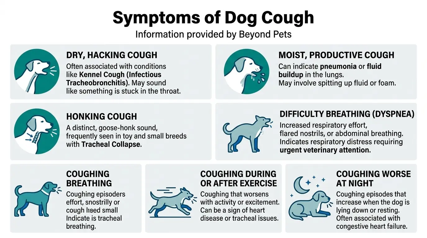 Symptoms of Dog Cough in Coughing in Dogs: Common Causes and Treatment Options