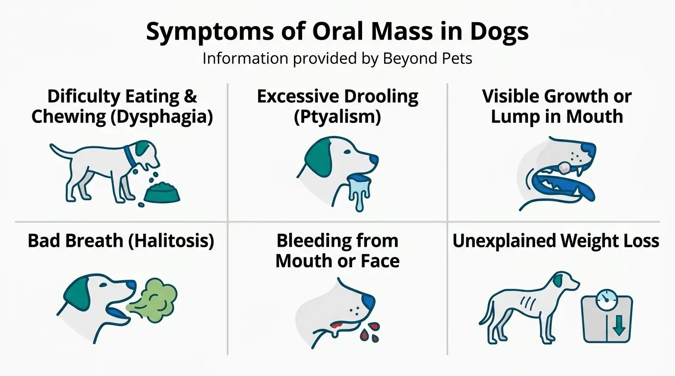 Symptoms of Oral Mass in Dogs in What Are Oral Masses in Dogs?