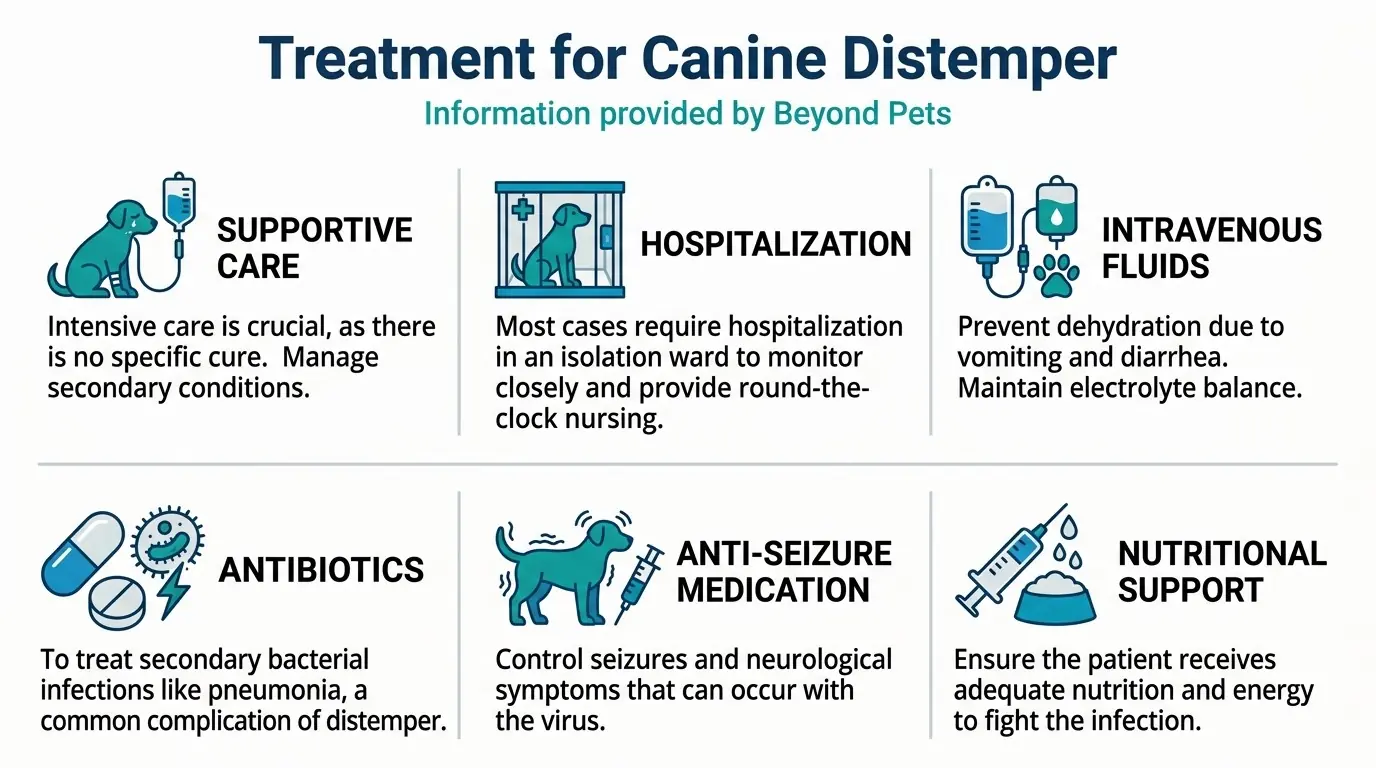 Treatment for Canine Distemper in Canine Distemper: Causes, Symptoms, Treatment & Prevention